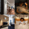 Bermina™ - Magnetic wall light