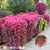 DecoFlower™ Majestic artificial flowers | 1 + 1 FREE
