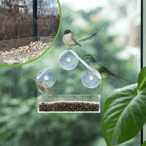 Mountable clear birdhouse 【Last day discount】