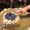 SolarBird™ - Solar powered bird fountain kit - No installation! 【Last day discount】