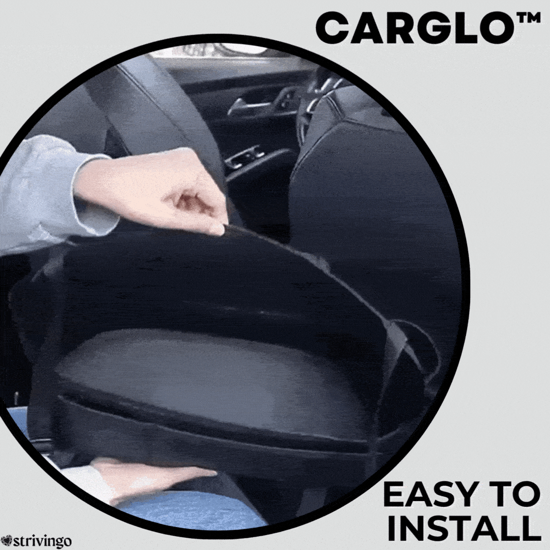 | CarGo - Car storage bag