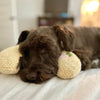 PetPillow™ - The ultimate calming companion for your pet [last day discount]
