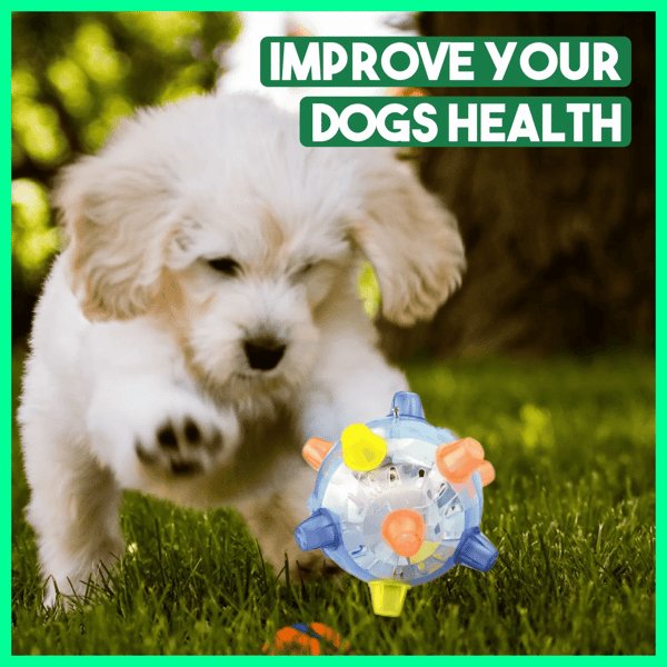 JumpBall - Jumping activity ball for dogs