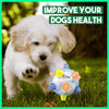 JumpBall - Jumping activity ball for dogs