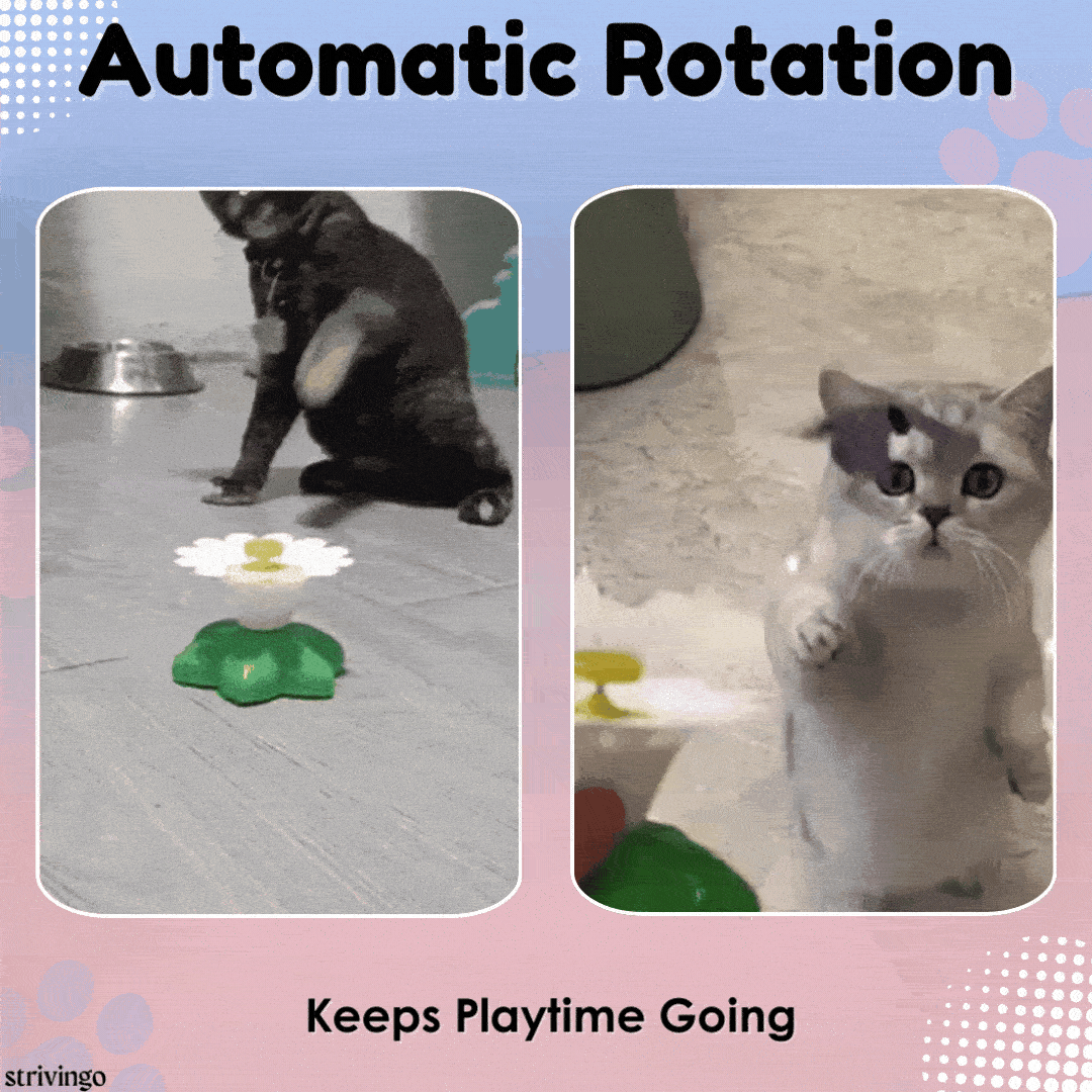 Katifly - Automatic Rotating Bird & Butterfly Toy for Cats