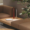 Sunabz Luminate™ - Desk lamp