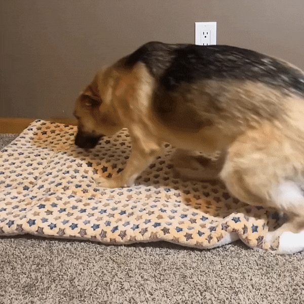 PeacePup™ - Calming blanket for dogs