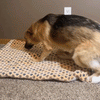 PeacePup™ - Calming blanket for dogs