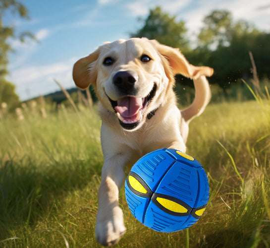 SpinToy™ - Magic Flying Saucer Ball