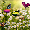 Butterfly™ - Butterflies Garden Decoration