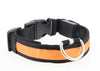 LED Safety DOG Collar