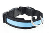 LED Safety DOG Collar