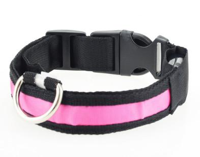 LED Safety DOG Collar