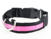 LED Safety DOG Collar