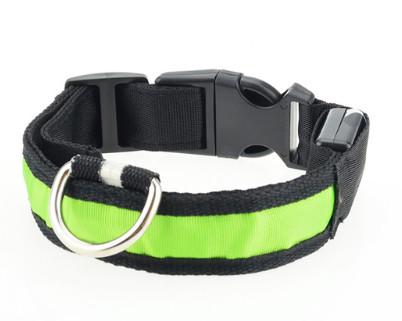 LED Safety DOG Collar