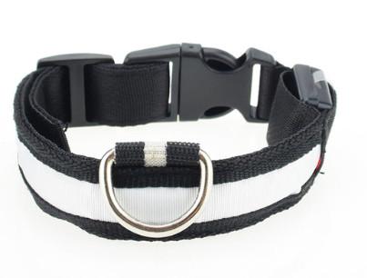LED Safety DOG Collar