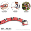 Snakey™️ - Let your cat play for hours