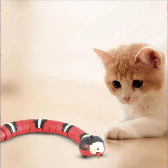 | meowx™ | Let your cat play for hours