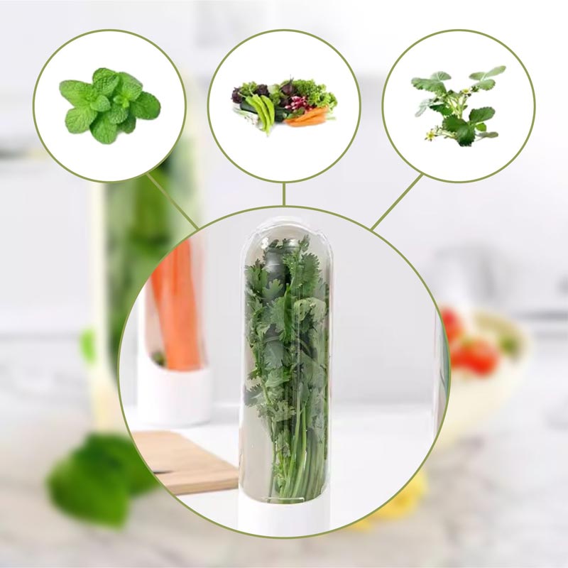 Freshherb™ - Fresh Herb Container