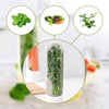 Freshherb™ - Fresh Herb Container