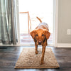 DirtGuard Mat™ - The ultimate dirt trap for floors!
