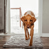DirtGuard Mat™ - The ultimate dirt trap for floors!