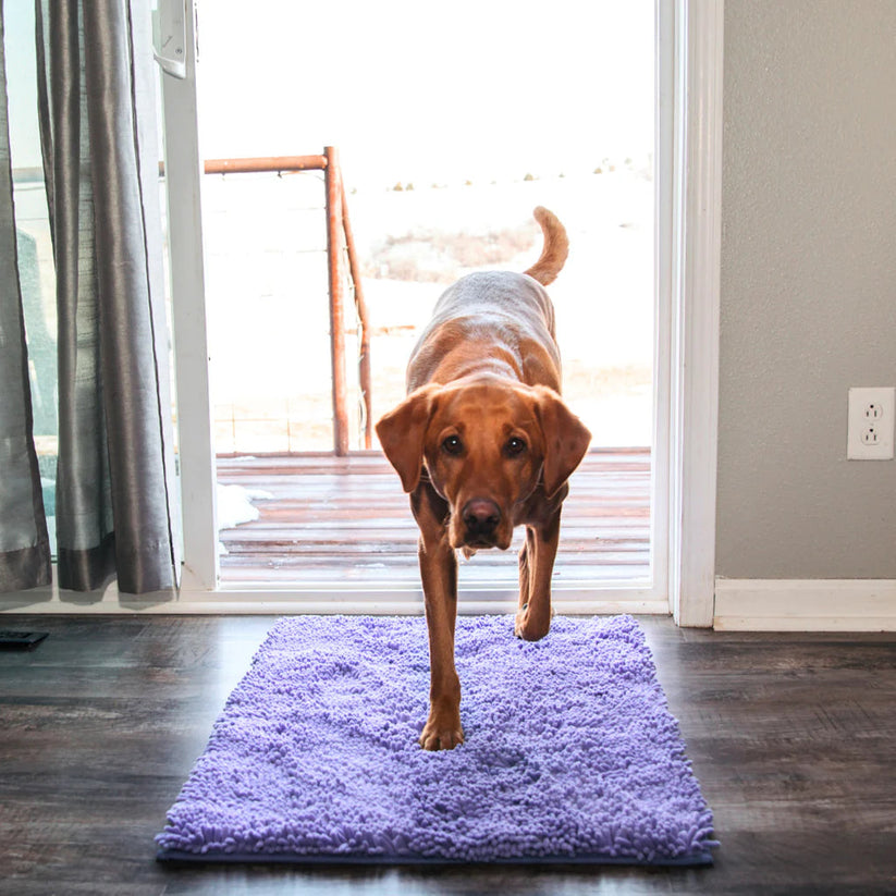 DirtGuard Mat™ - The ultimate dirt trap for floors!
