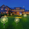 Waterproof Solar Fireworks Lamp | 1+1 Free 【Last Day Discount】